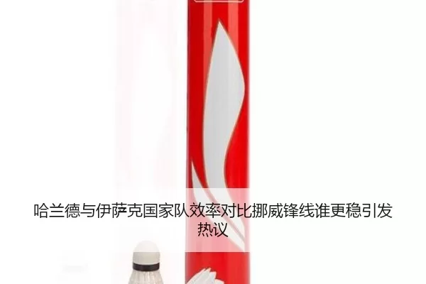 哈兰德与伊萨克国家队效率对比挪威锋线谁更稳引发热议