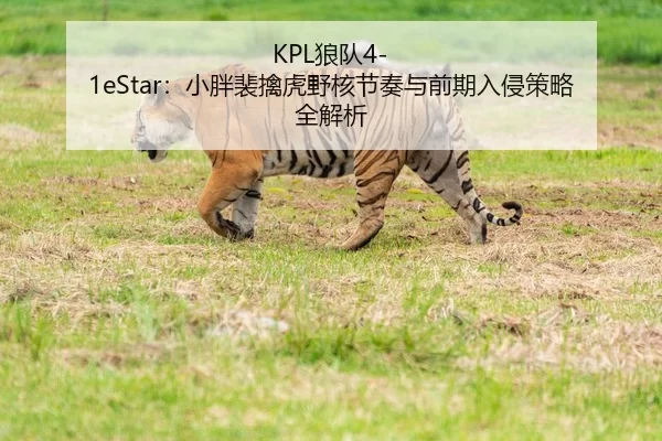 KPL狼队4-1eStar：小胖裴擒虎野核节奏与前期入侵策略全解析
