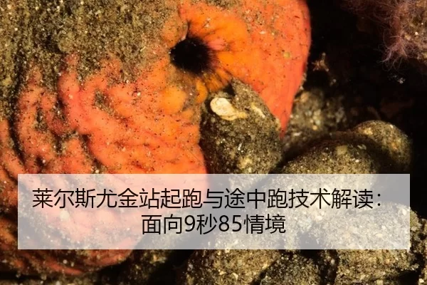 lai-er-si-you-jin-zhan-qi-pao-yu-tu-zhong-pao-ji-shu-jie-du-mian-xiang-miao-qing-jing-2-242.jpg